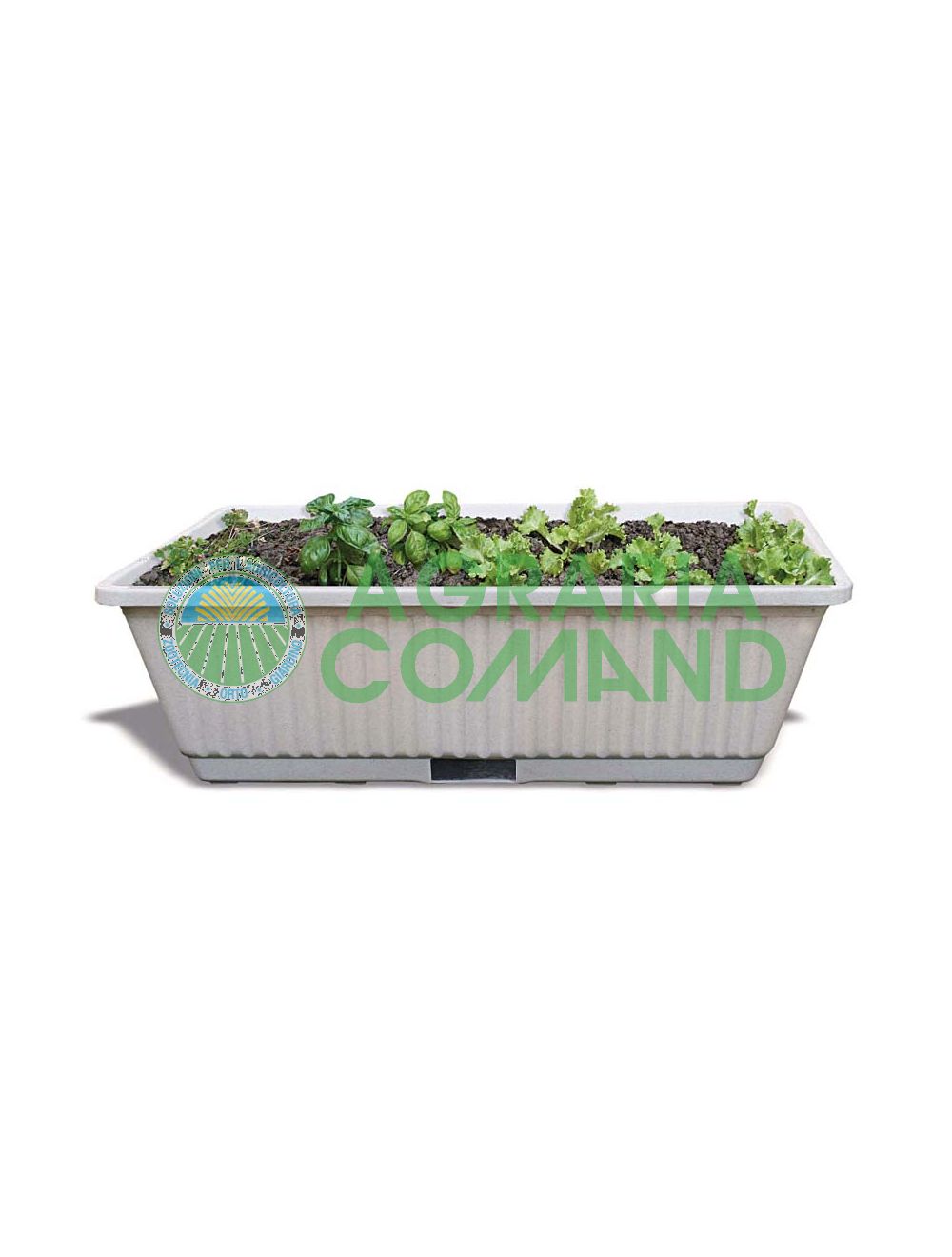 jardin potager