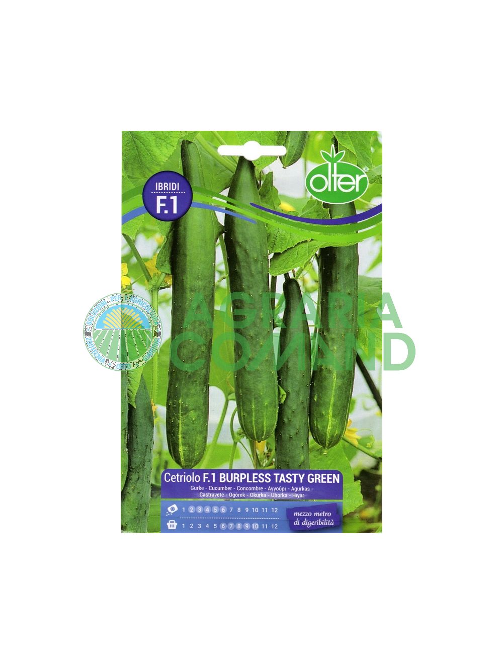 Concombre Burpless Tasty Green