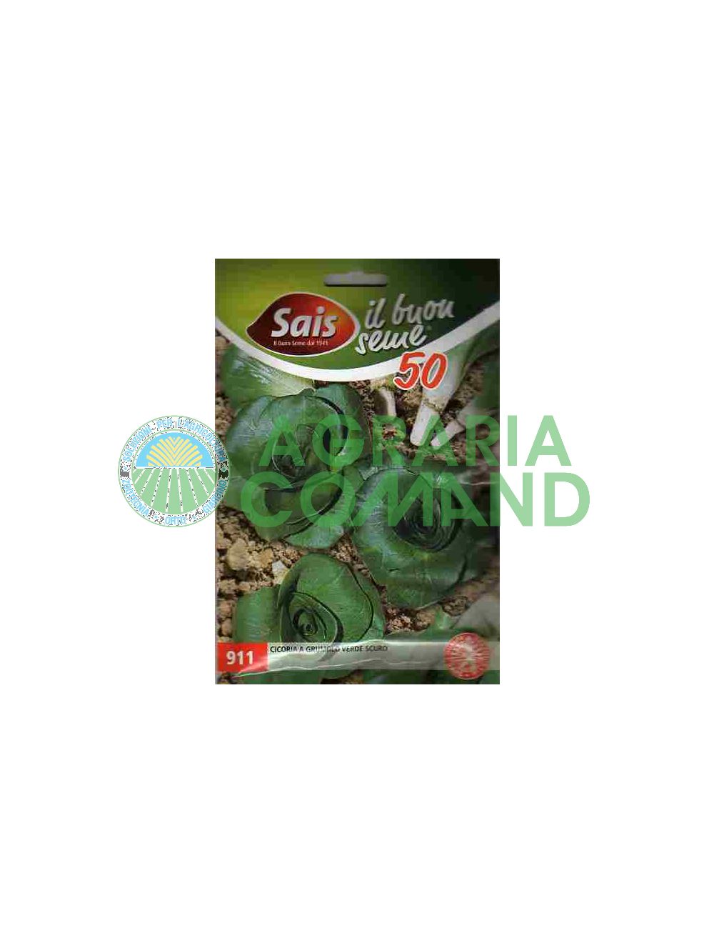 Graines de chicorée Grumolo vert foncé