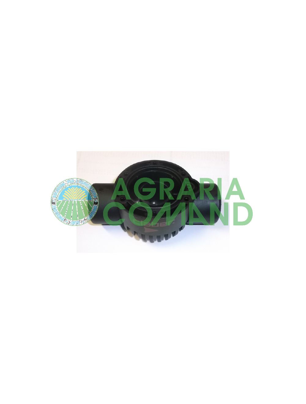 Solénoïde_corps_Claber_femelle