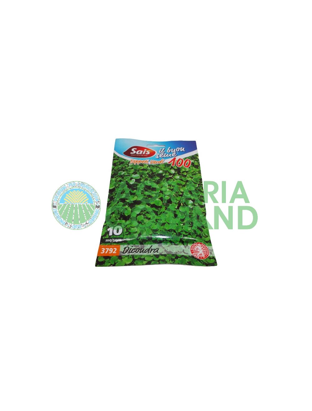 Dichondra repens graines
