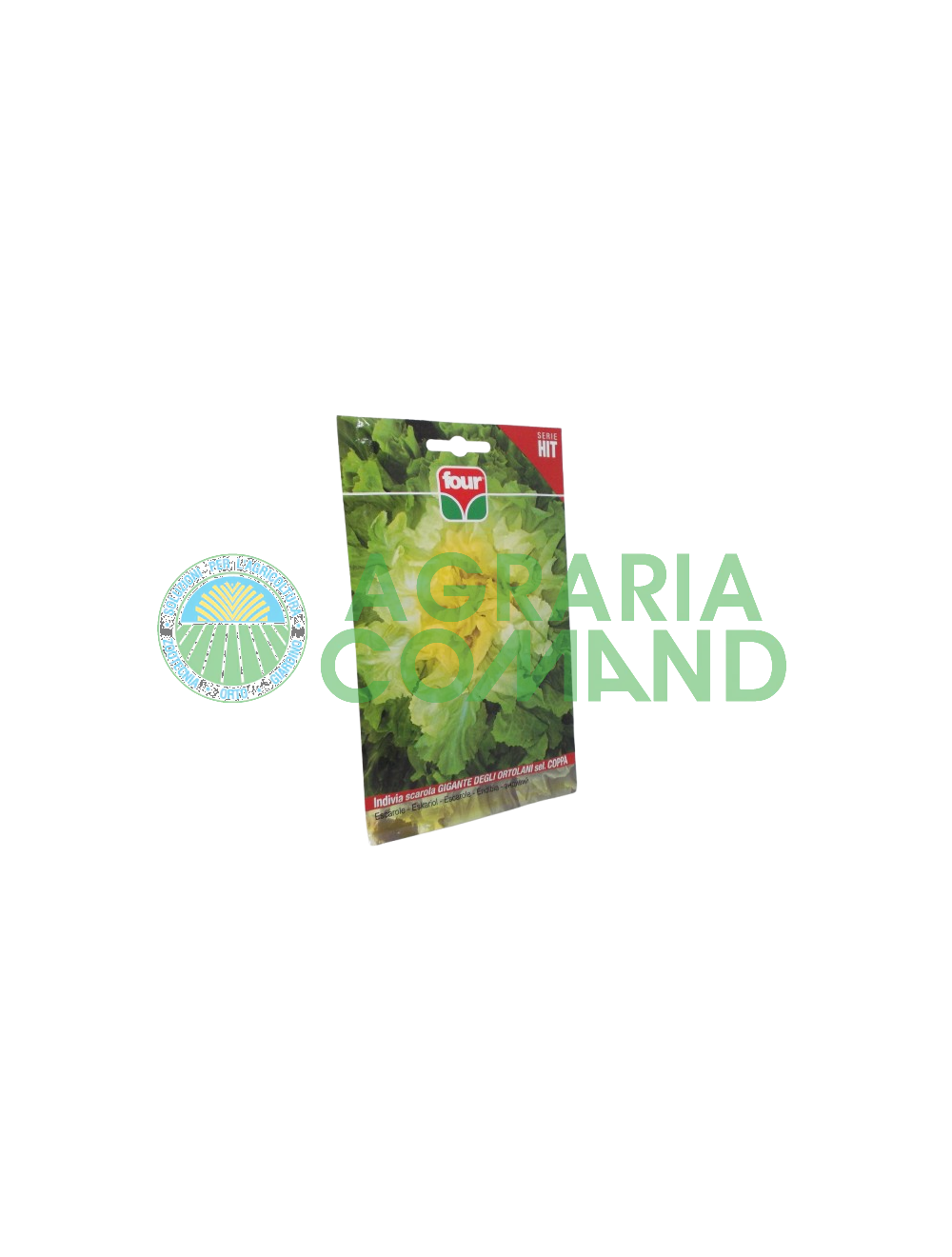 Endivia of Ortolani Cup Four selection (en anglais)