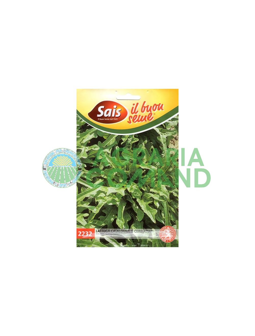 Salade de Catalogne