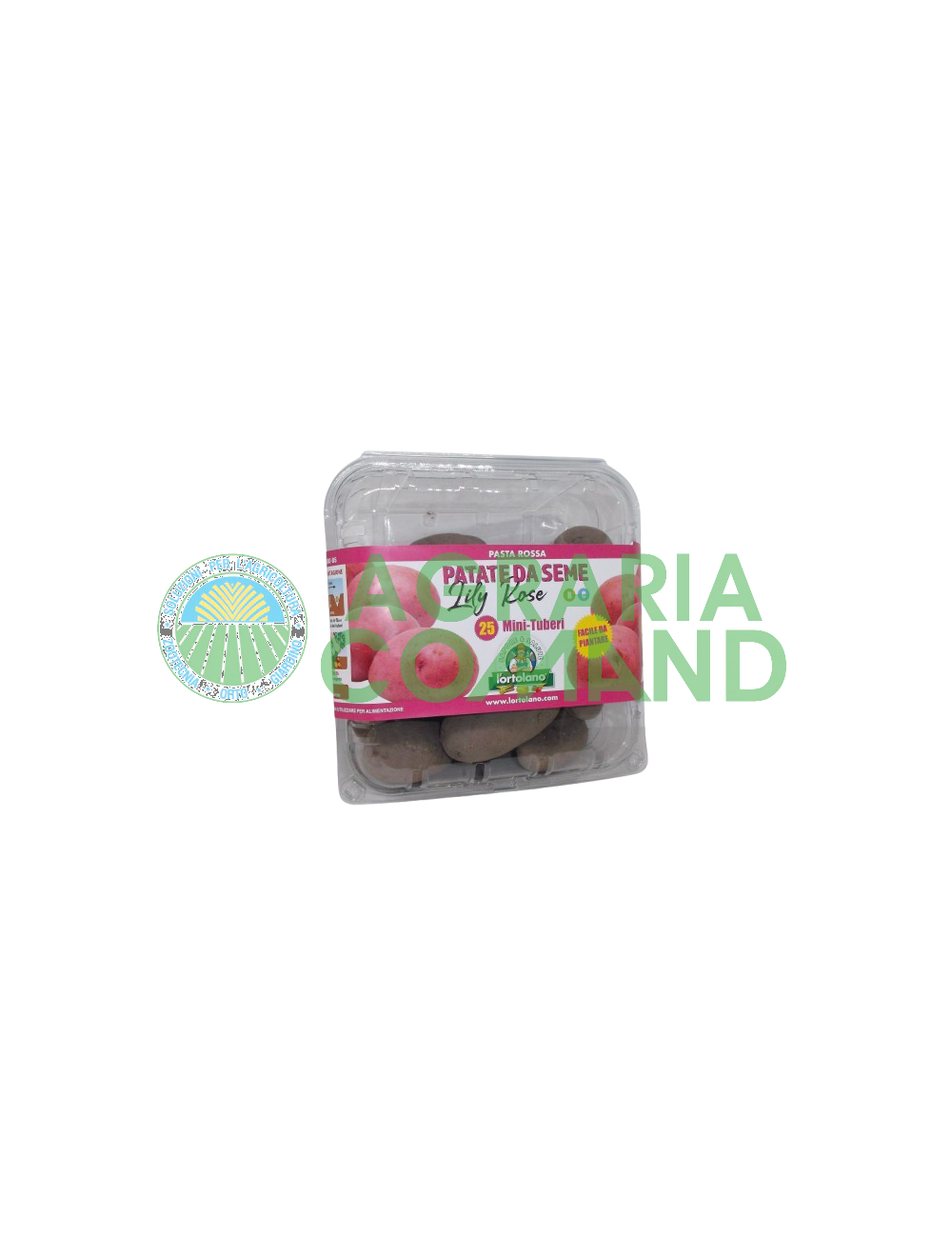 Paquet de semences de pommes de terre Lilly Rose