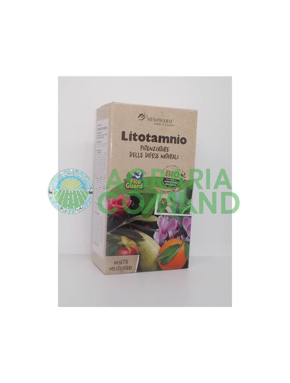 Lithotamne