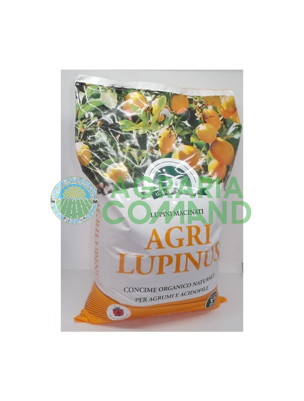 Agrilupinus lupins terrestres