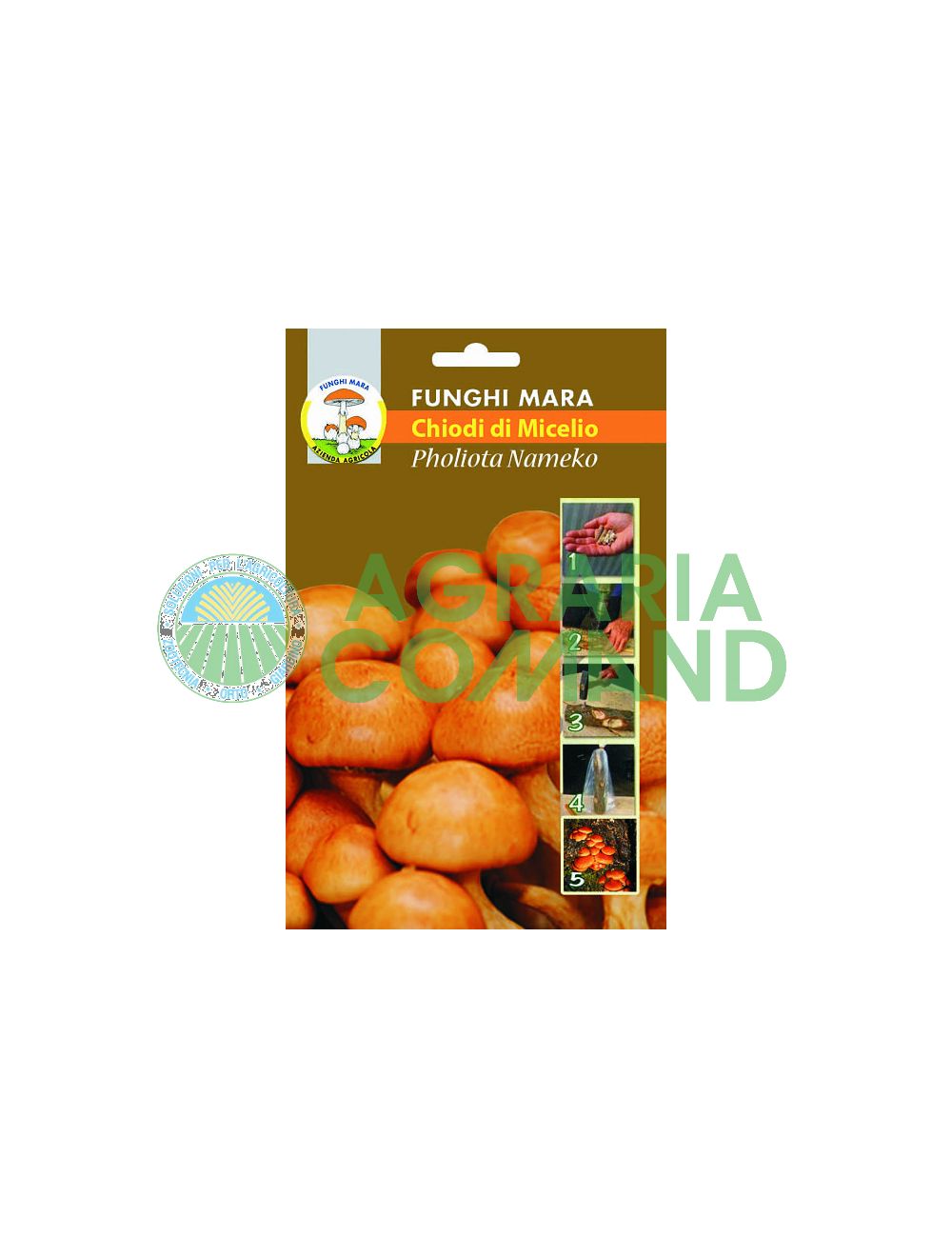 Clous de Pholiota nameko