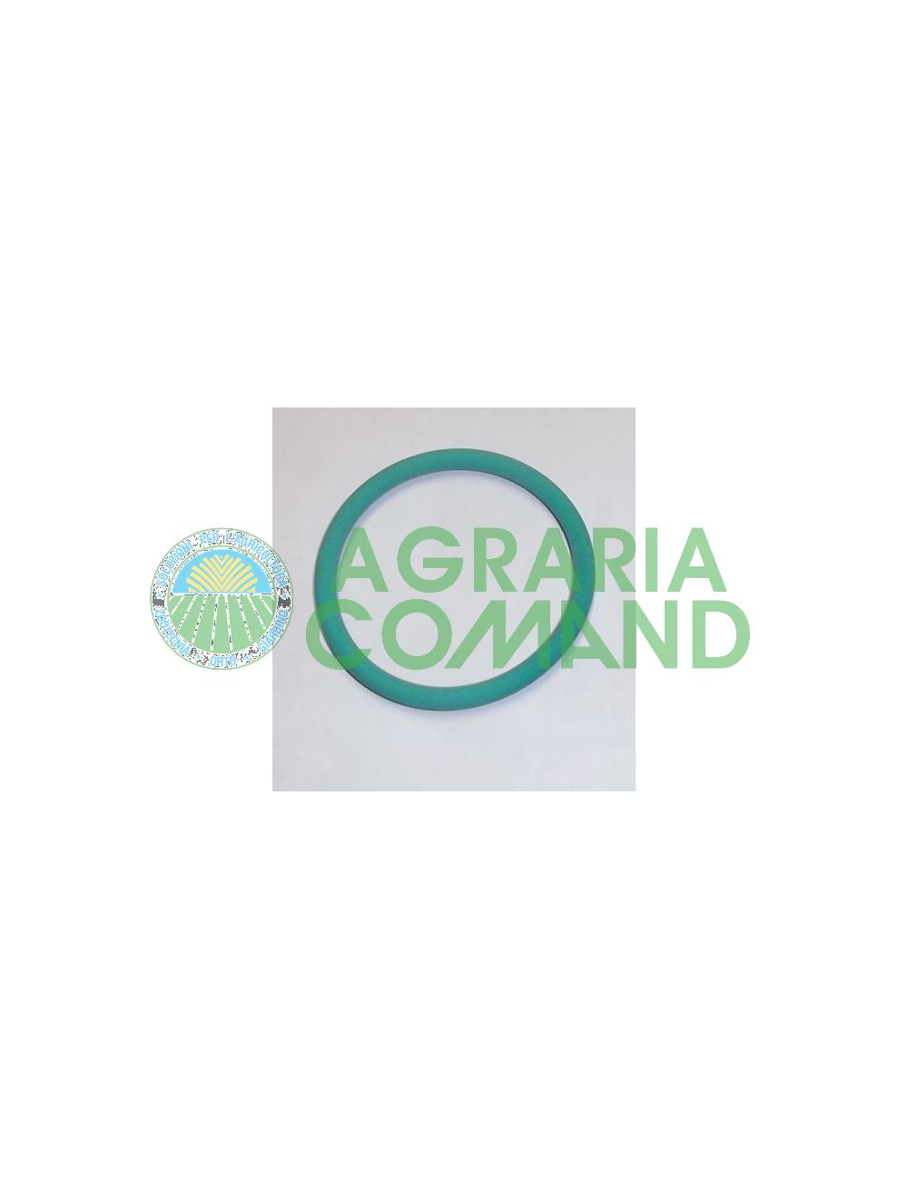 ou_ZZOR6225V_pour_pompe_de_jardin