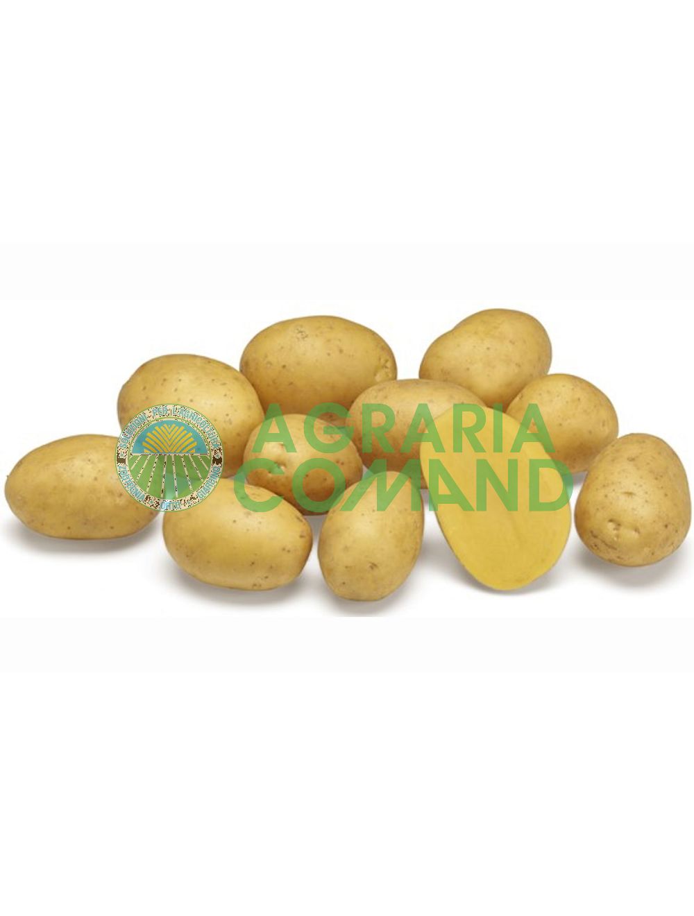 Pommes de terre jaune orangé