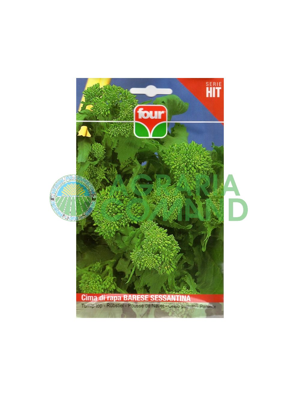 Navet Barese Top Seed