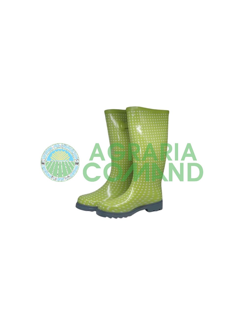 Bottes pour femmes