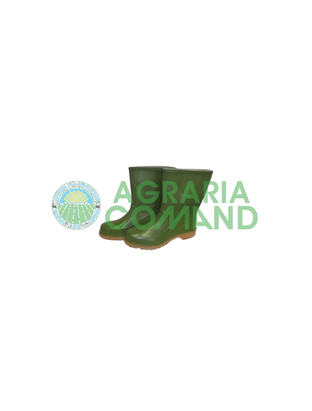 Bottines