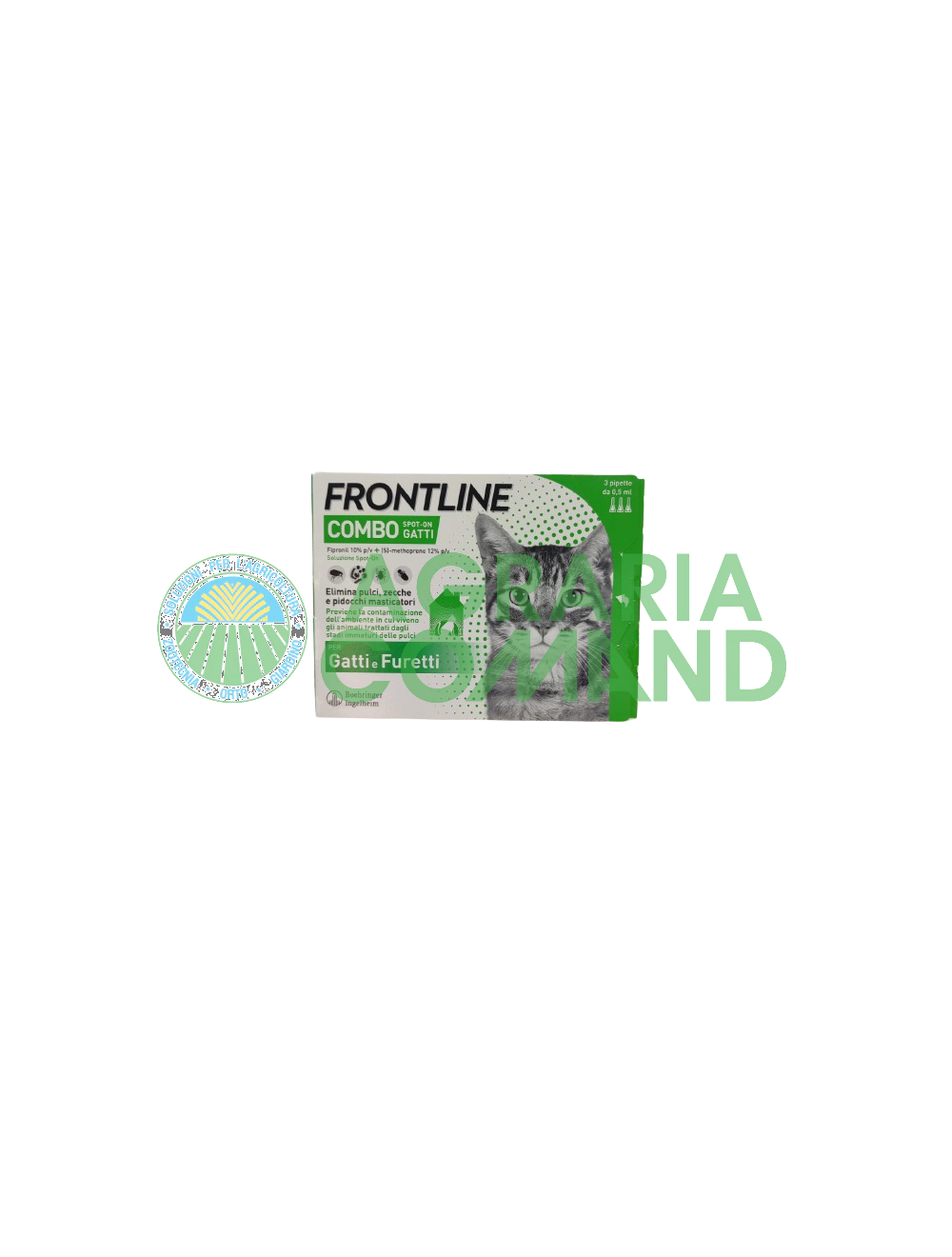 Frontline chat et furet Frontline chat et furet