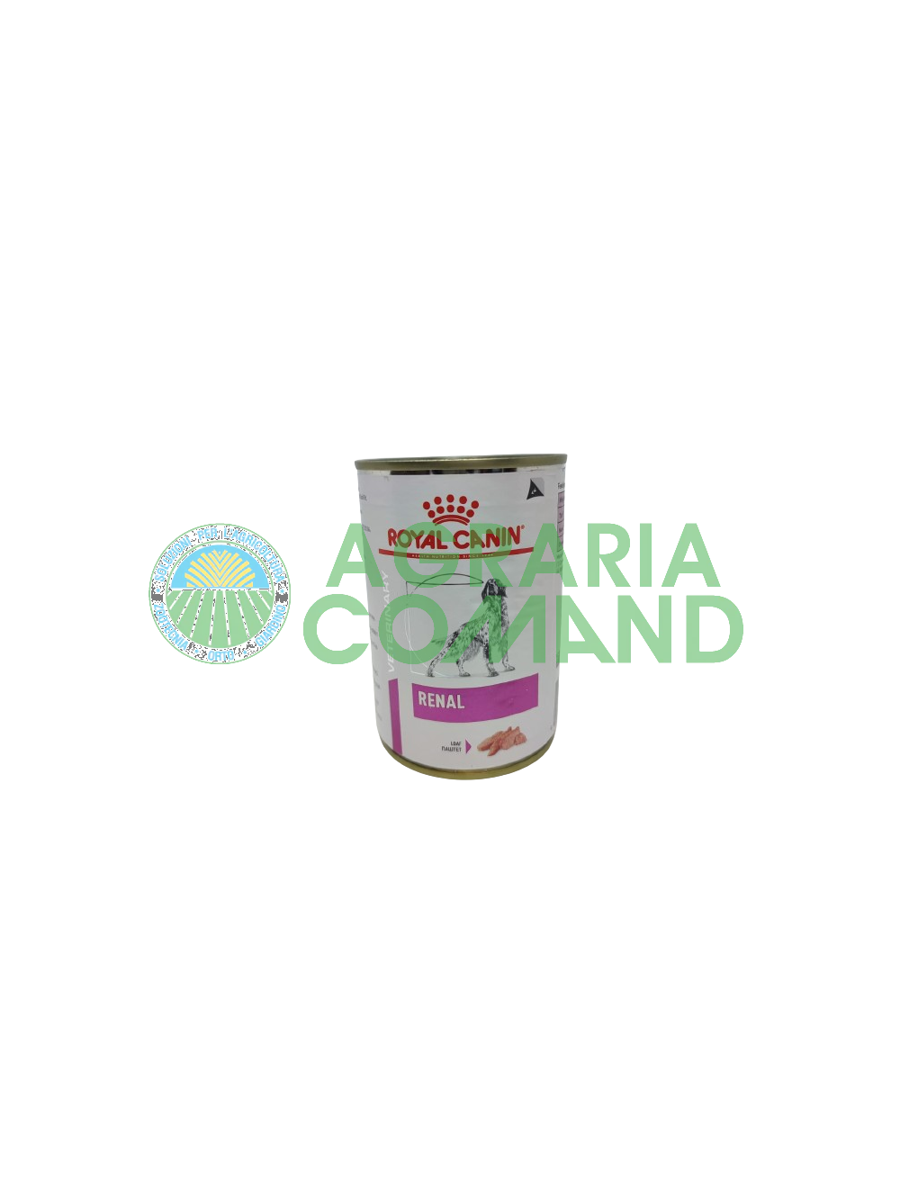 chien royal renal peut