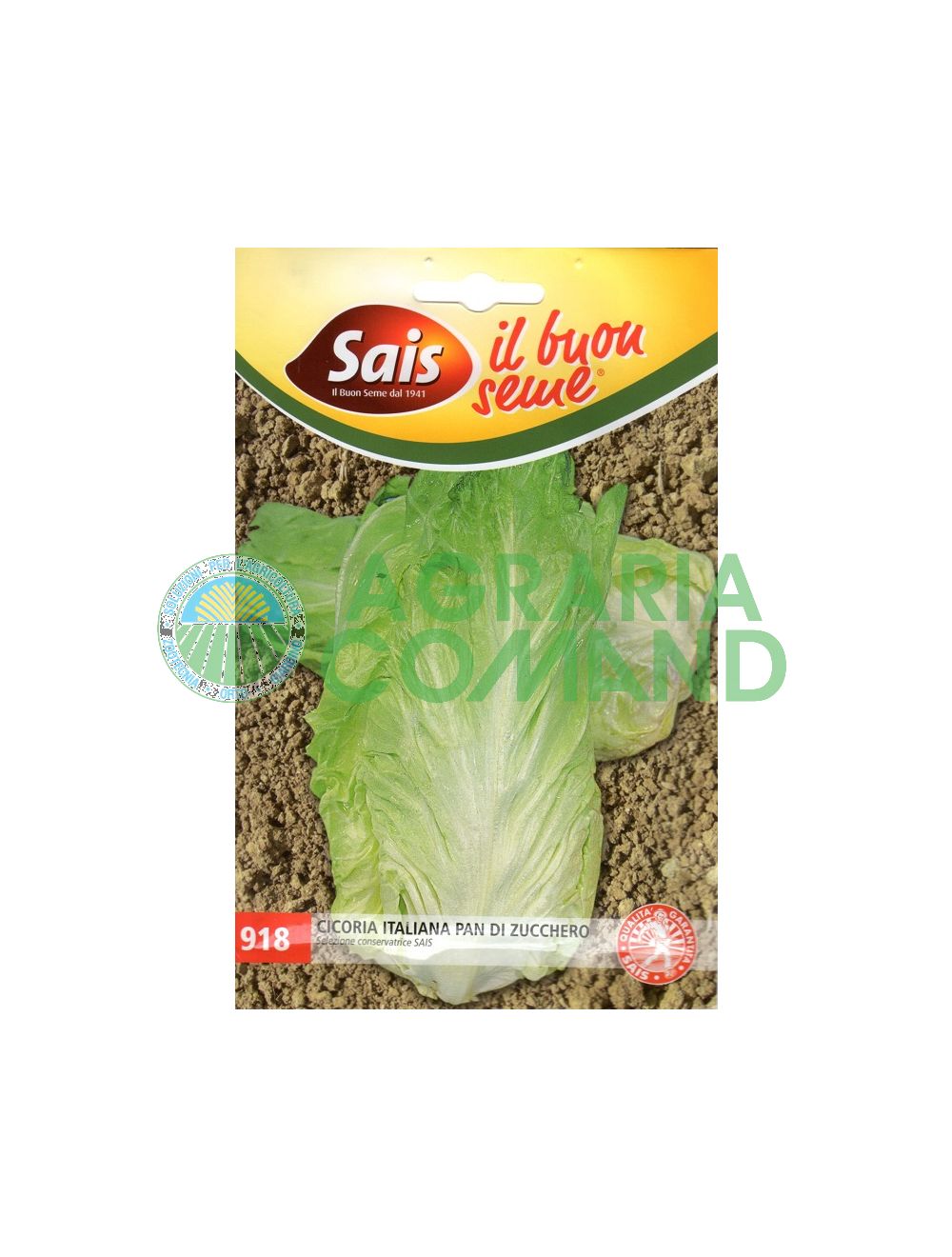Sugarloaf Chicory Seeds