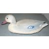 CANARD COLVERT FEMELLE thumbnail
