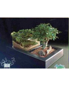 AQUAMAKIA contenant composition ZEN aquatique bonsai