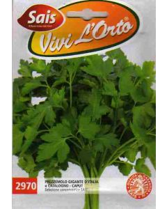 GRAND PARSLEY D'ITALIE ou CATALOGUE - CAPUT