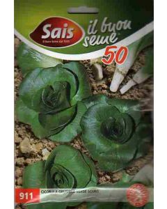 Seme Cicoria Grumolo verde scuro