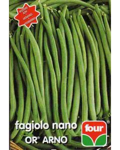 Haricot nain Quatre