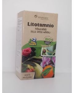 Litotamnio