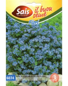 Panier bleu myosotis