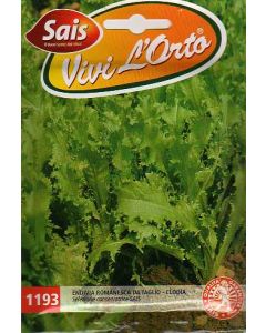 ENDIVE À COUPER - CLODIA