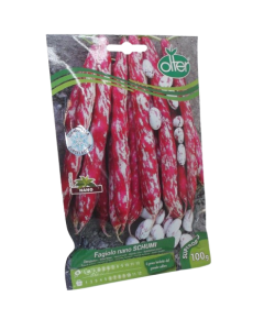 Enveloppe de semences de haricots nains Schumi Olter