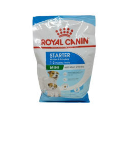 Starter MINI Mother and Baby Dog