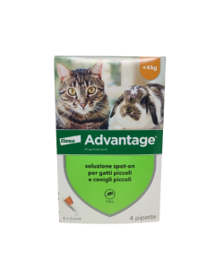 Advantage Elanco gatti e conigli 