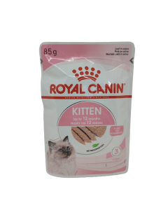 kitten royal canin pate Gatto