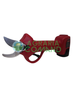 Forbice Archman Fe03-05