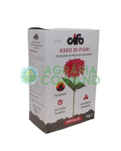 Cifo as de fleurs