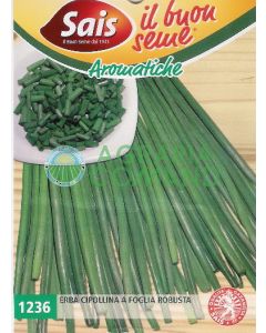 CHIVES DE FEUILLES