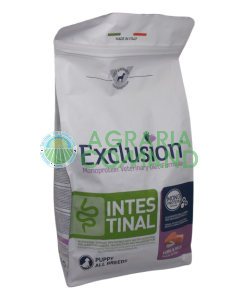 Exclusion Chiot Intestinal