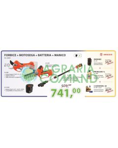 Kit d'élagage avec tronçonneuse à batterie et perche télescopique Stocker