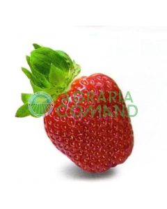 Fraise Dulcinée
