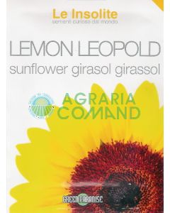Tournesol Citron Léopold