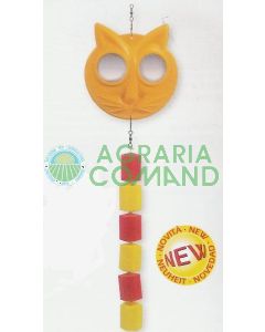 CAT ÉCOUTE