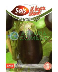 Samba d'aubergine