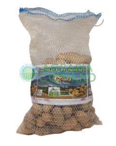 Pomme de terre de semence biologique Cicero