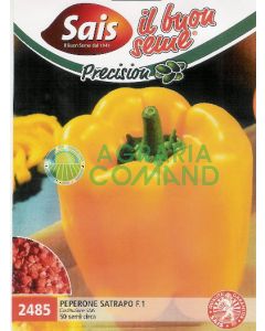 Poivre de Satrapo