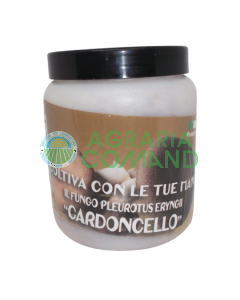 Cardoncello pot de mycélium frais