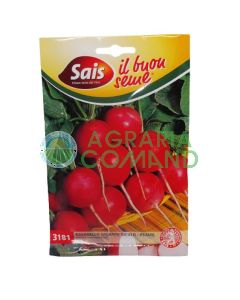 Radis géant de Sicile - été