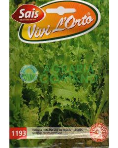 ENDIVE À COUPER - CLODIA
