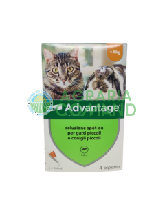 Advantage Elanco gatti e conigli 