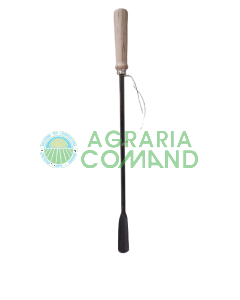 Ferro leva asparagi
