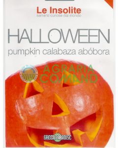 CITROUILLE D'HALLOWEEN