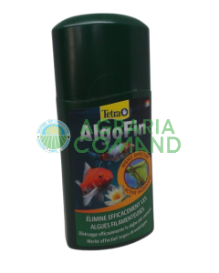 Tetra Algofin contre les algues filamenteuses du bassin