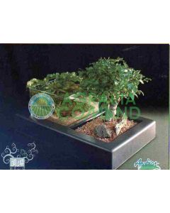 AQUAMAKIA contenant composition ZEN aquatique bonsai